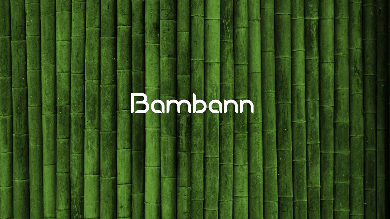 Bamboo leggings – Bambann